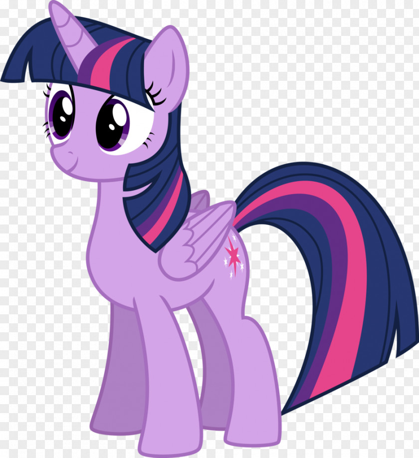 Twilight Sparkle Pony Rainbow Dash Princess Celestia YouTube PNG