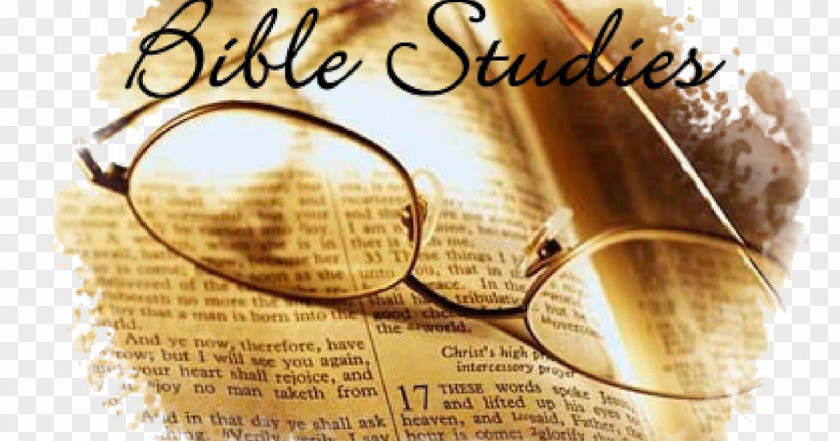 Wheat Fealds Bible Study Old Testament Gospel Of John Biblical Studies PNG