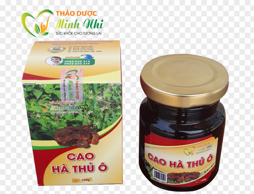 Cao Lau Tóc Vietnam Polyscias Fruticosa Man Food PNG