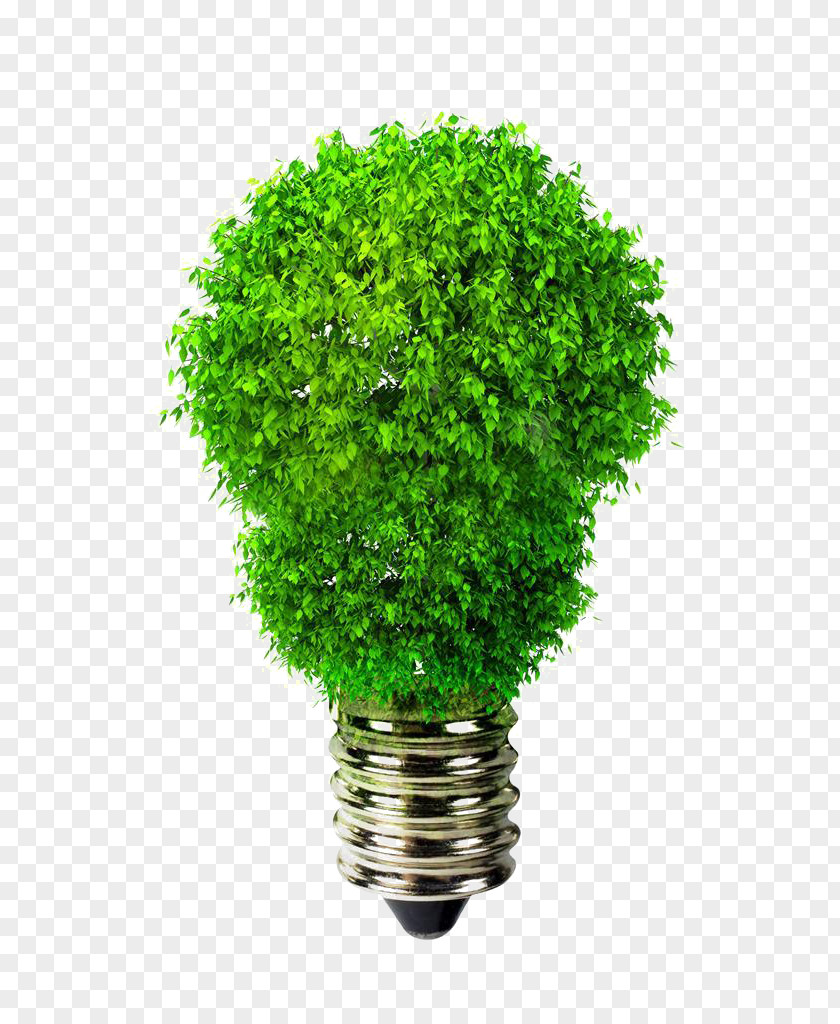 Creative Whine Bulb Light-emitting Diode LED Lamp Efficient Energy Use Incandescent Light PNG