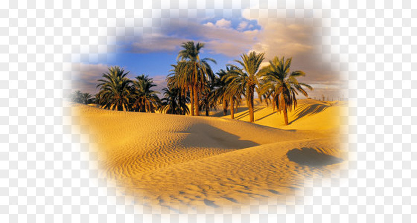 Desert Sahara Oasis Landscape Ghadames PNG