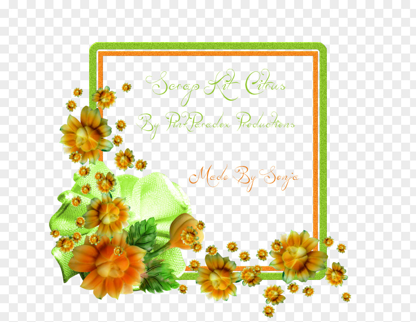 Flower Floral Design Greeting & Note Cards Cut Flowers Picture Frames PNG