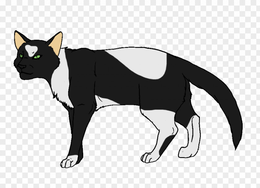Foot Cat Whiskers Kitten Horse Black PNG