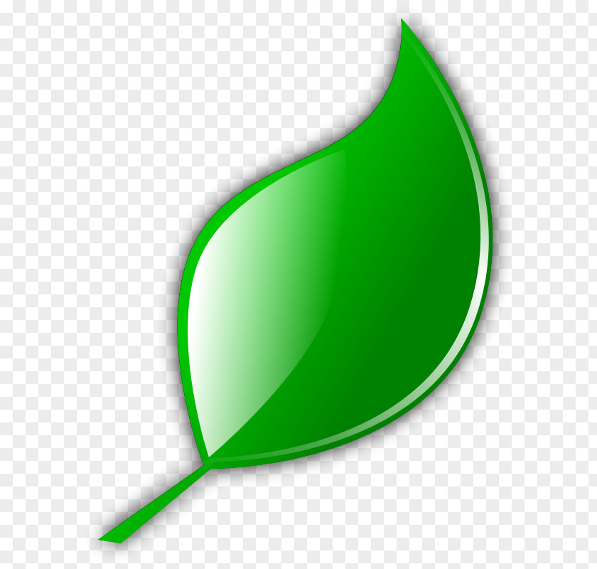 Green Leaf Icon Cartoon Royalty-free Clip Art PNG