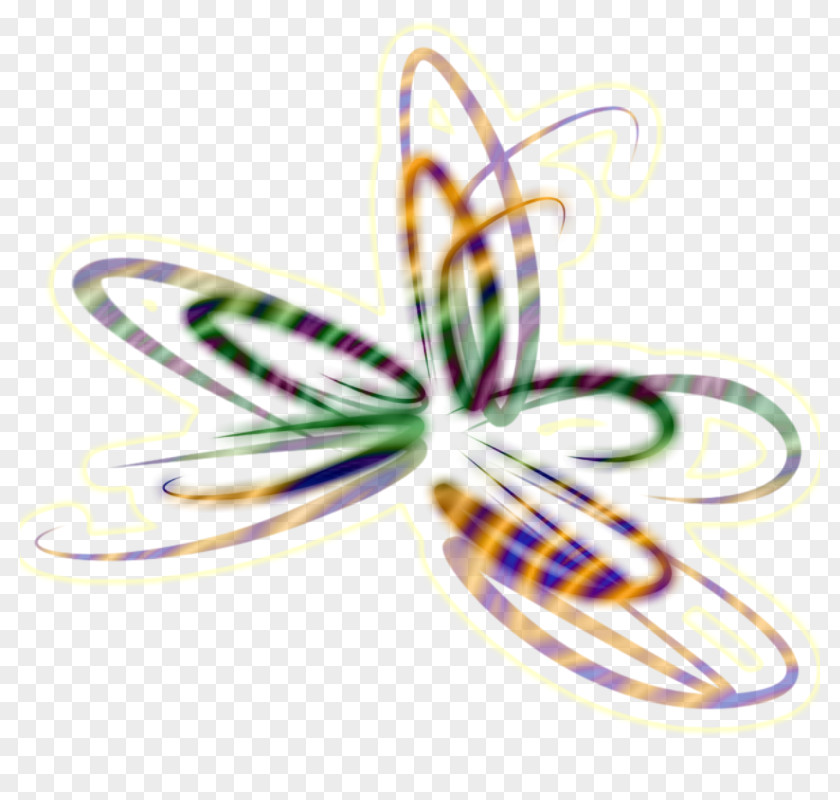 Insect Line Clip Art PNG