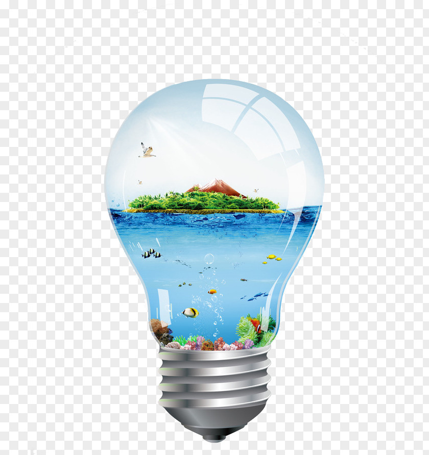 Light Bulb In The World Incandescent Transparency And Translucency Google Images PNG