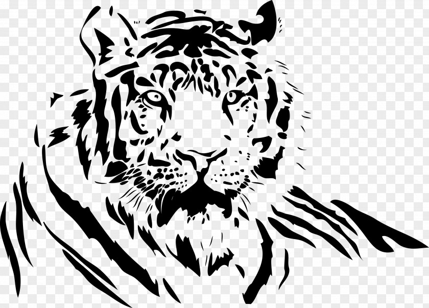 TIGER VECTOR White Tiger Drawing Clip Art PNG