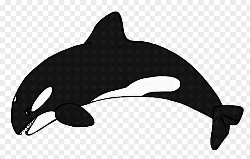 Whale Animal Figure Killer Marine Mammal Dolphin Cetacea Bottlenose PNG