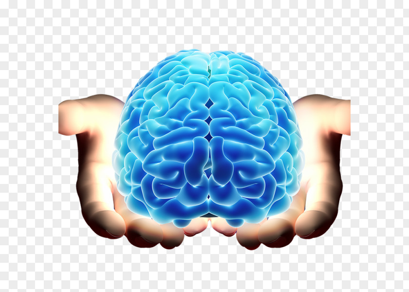 Brain Neurology Mind Neurosurgery PNG