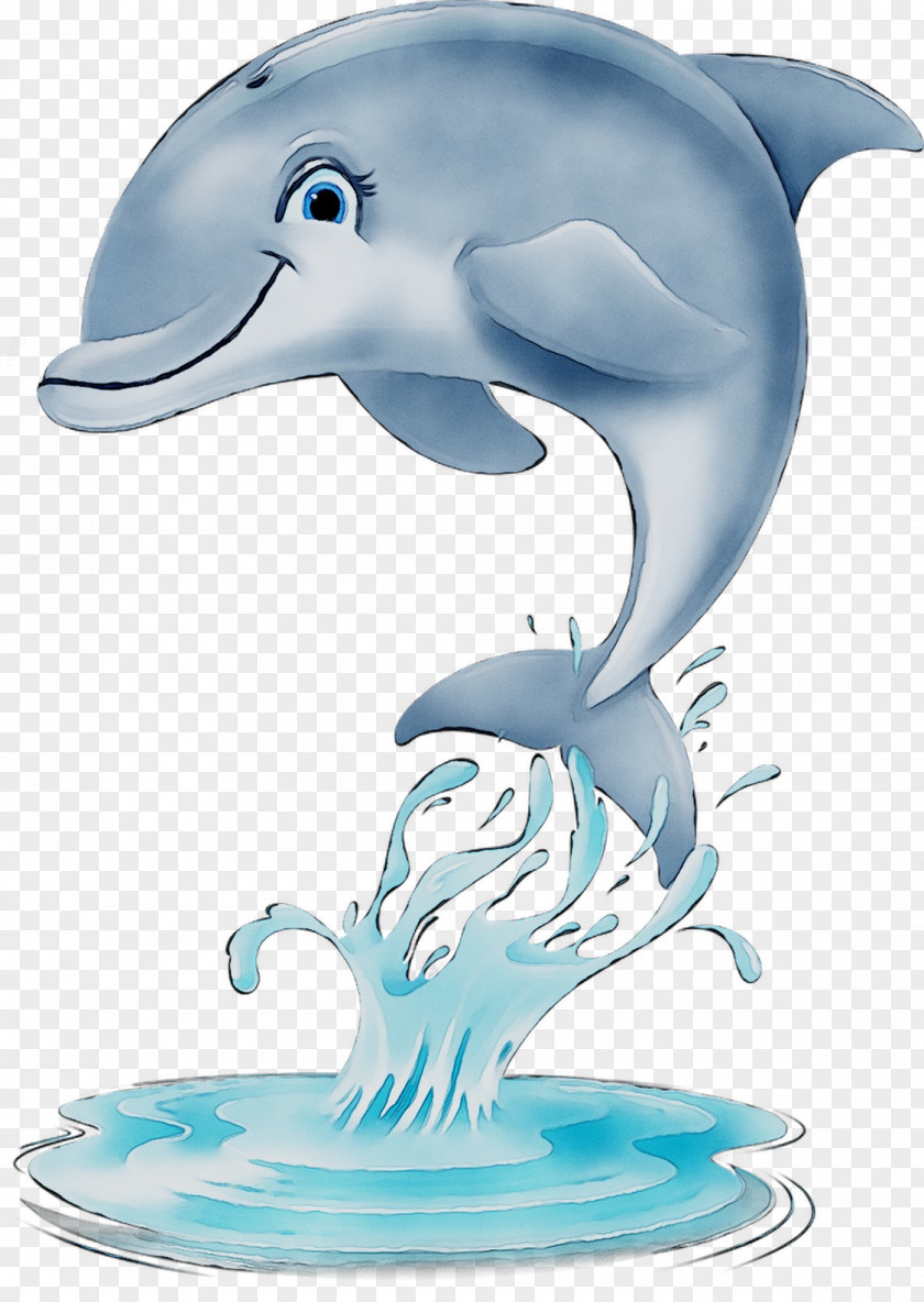 Common Bottlenose Dolphin Short-beaked Tucuxi Wholphin Rough-toothed PNG