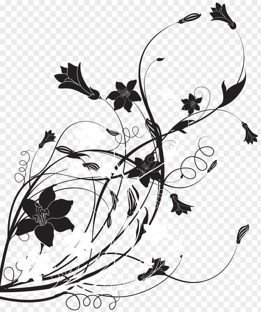 Decorative Line Art Black And White Drawing Clip PNG