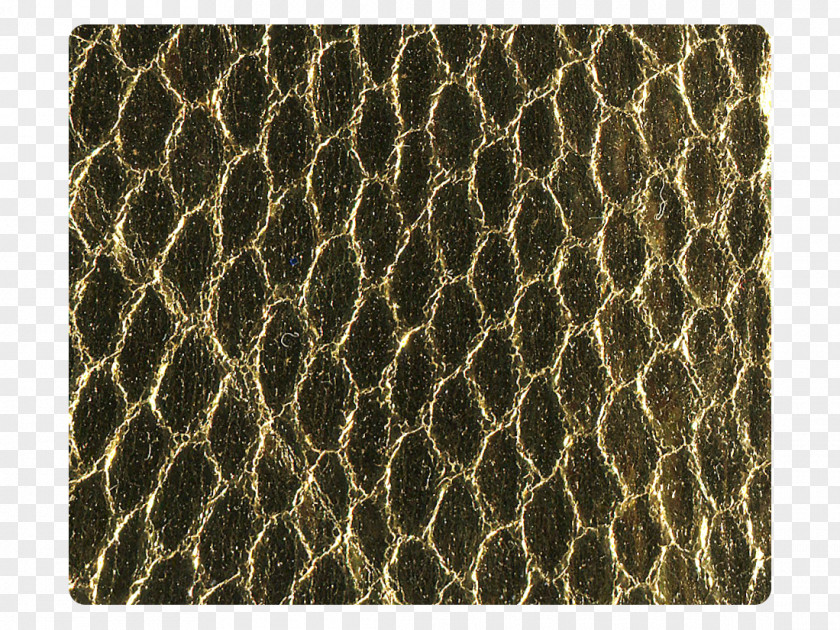 Golden Snake Place Mats PNG