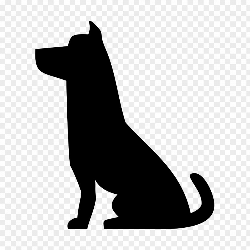 Whiskers Blackandwhite Dog And Cat PNG