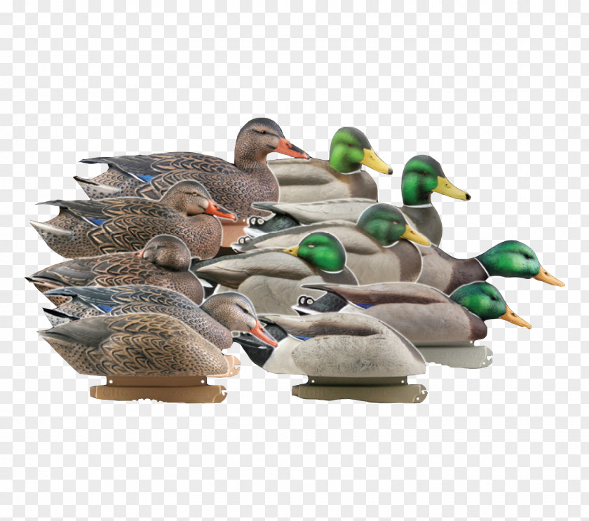 Duck Mallard Decoy Goose PNG