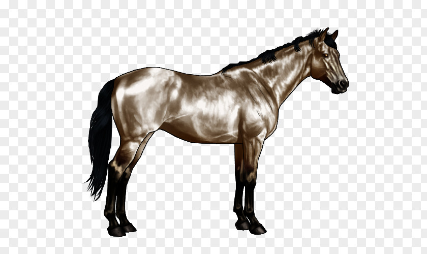 Fjord Horse American Paint Quarter Roan Equine Coat Color Pinto PNG