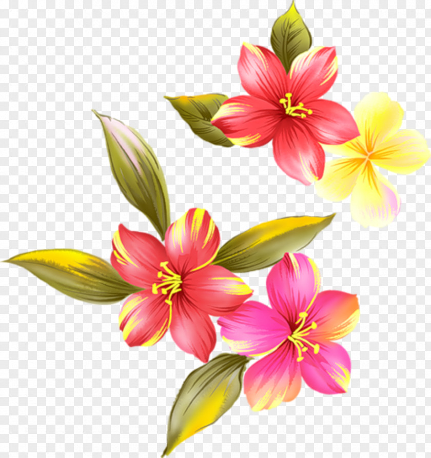 Flower Petal Floral Design PNG