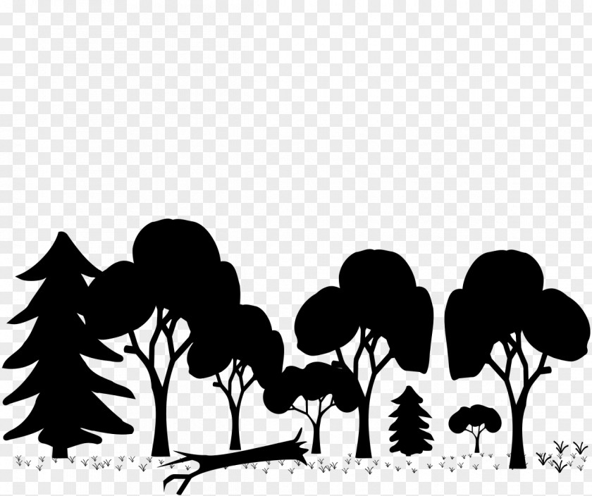Forest Silhouette Temperate Broadleaf And Mixed Clip Art PNG