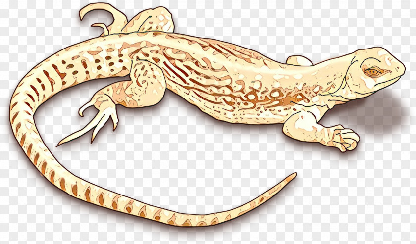 Lizard Reptile Clip Art Chameleons PNG