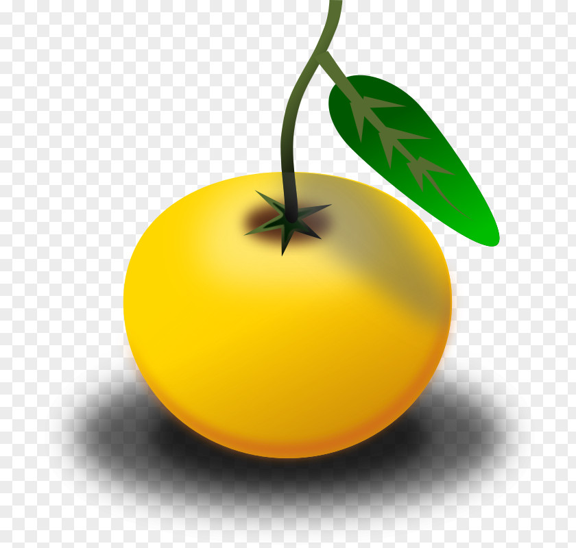 Orange Fruit Juice Clip Art PNG