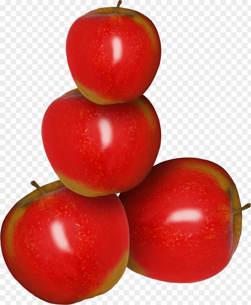 Apple Plum Tomato Accessory Fruit Clip Art PNG