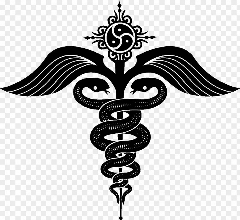 Symbol Staff Of Hermes Caduceus As A Medicine Snakes Serpent PNG