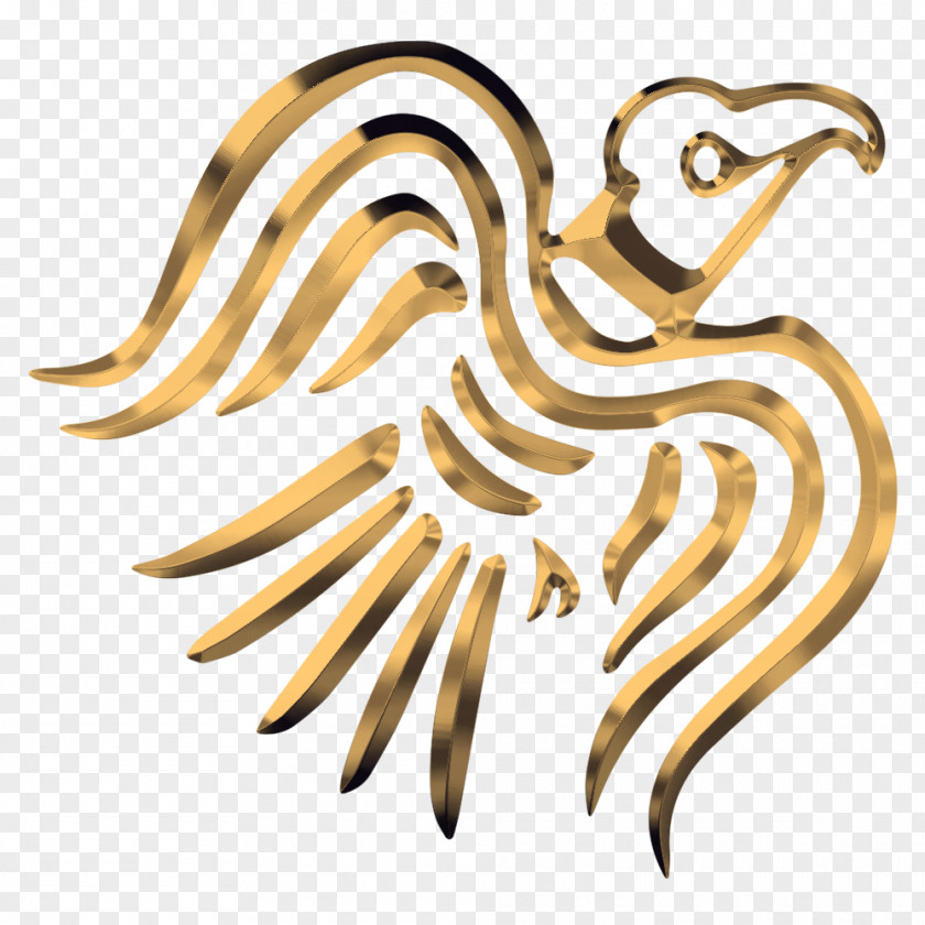United States Shroud Of The Avatar: Forsaken Virtues Diagram Common Raven Flag PNG