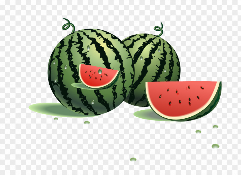 Watermelon Fruit Cucumber Clip Art PNG