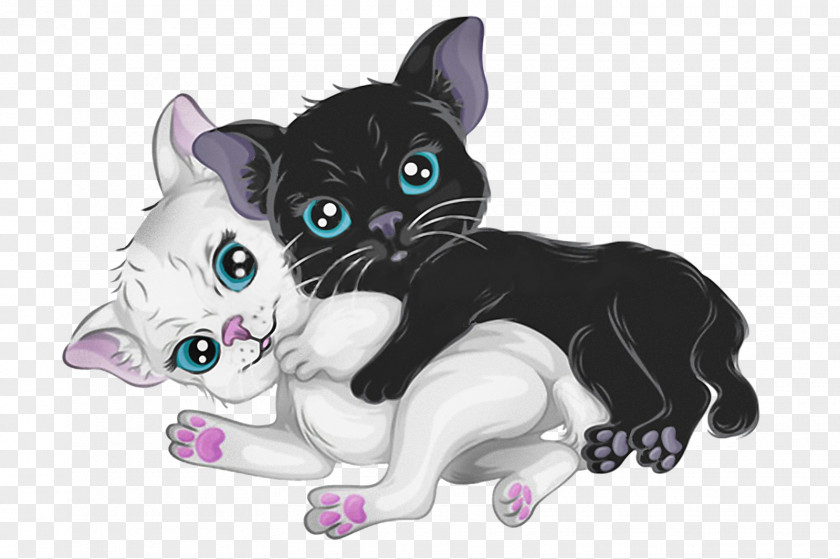 Kitten Cat Clip Art PNG