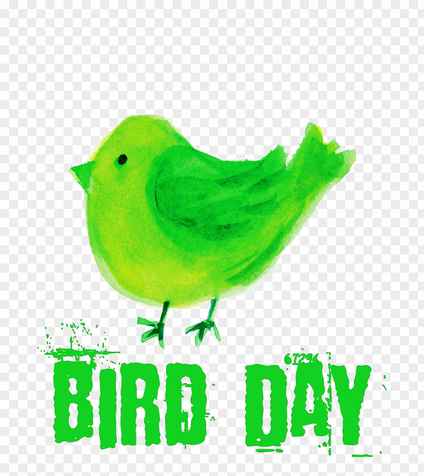 Bird Day Happy International PNG