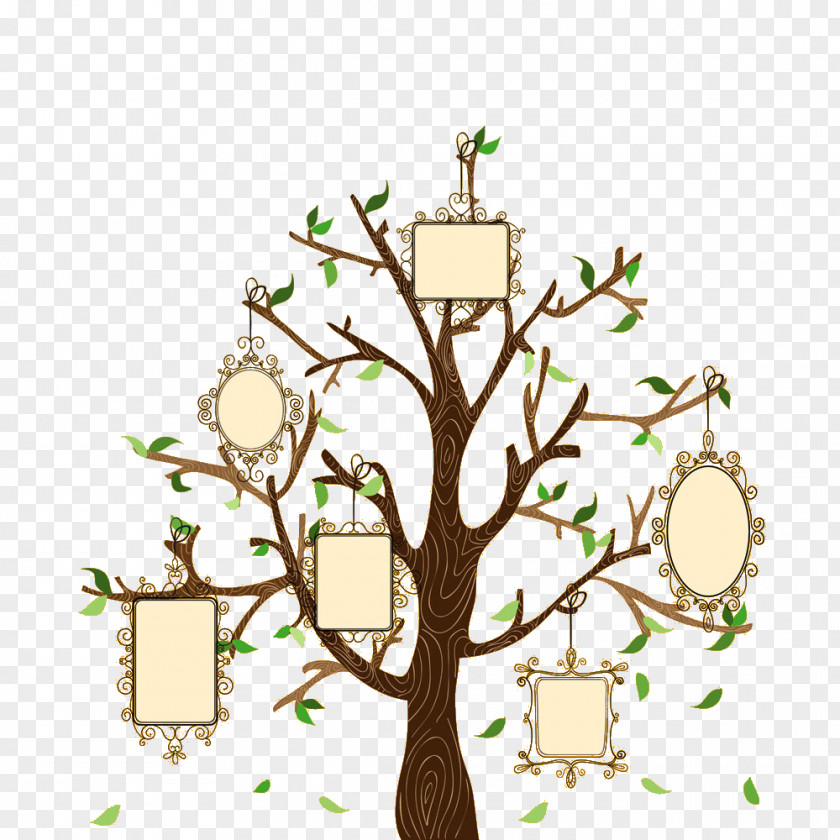 Creative Family Tree Euclidean Vector Illustration PNG