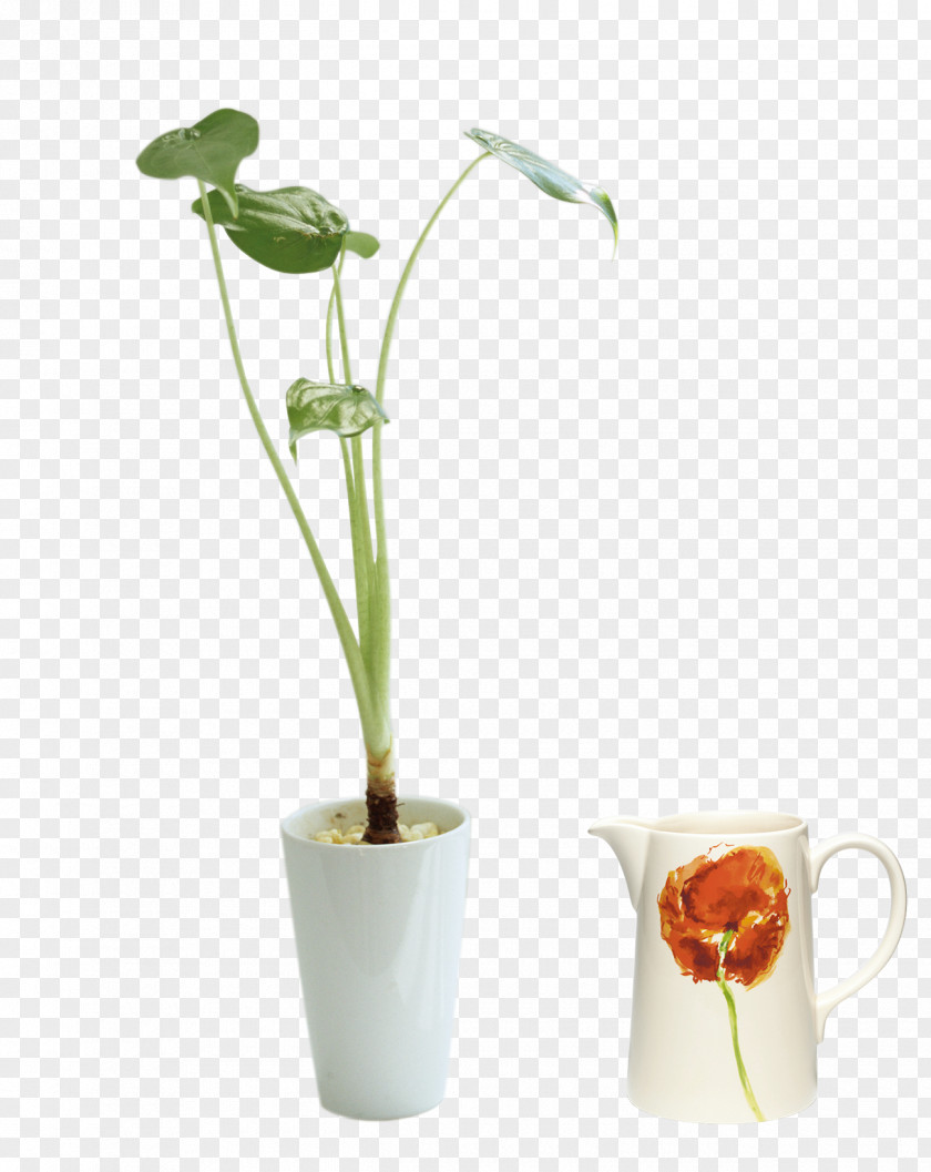 Creative Pull Balcony Bonsai Free Vase Flowerpot PNG