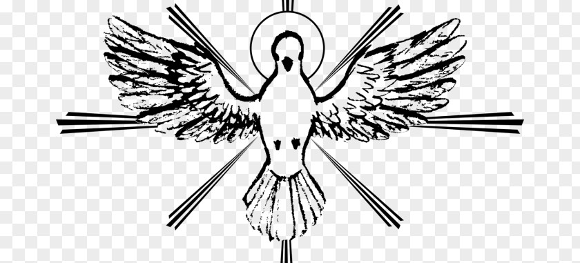 Holy Spirit Spiritual Gift Pentecost Eucharist Christianity PNG