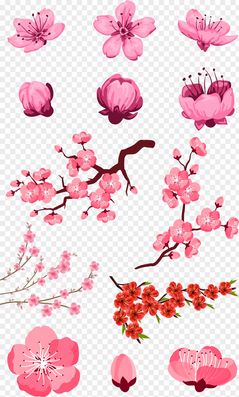 Pink Peach Vector Adobe Illustrator Download PNG