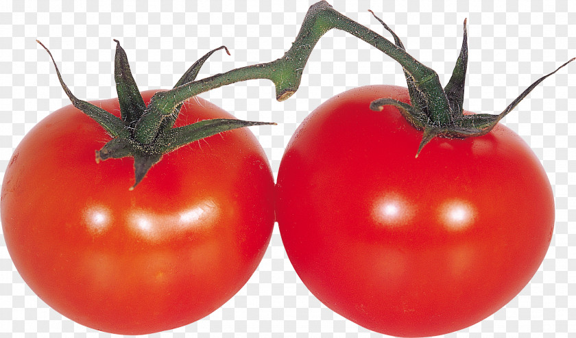 Tomato Vegetable Fruit Cherry PNG