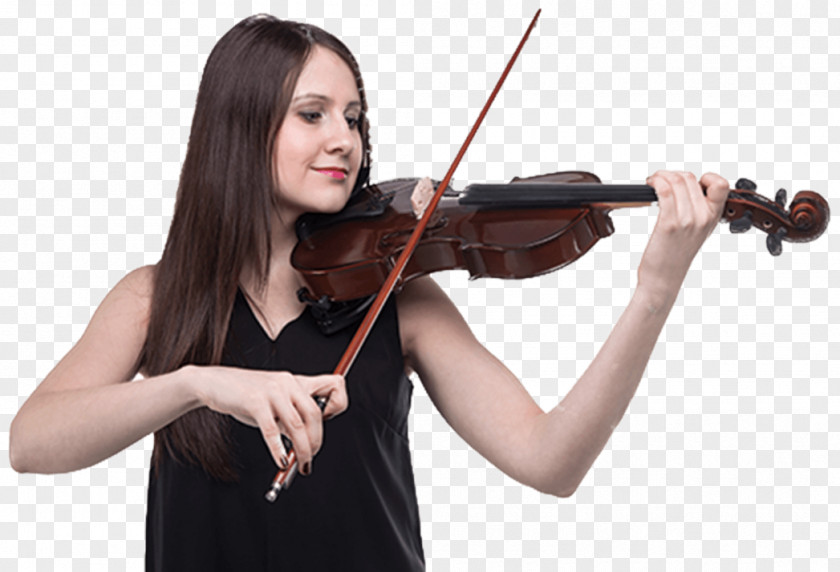 Violin Stock Photography PNG