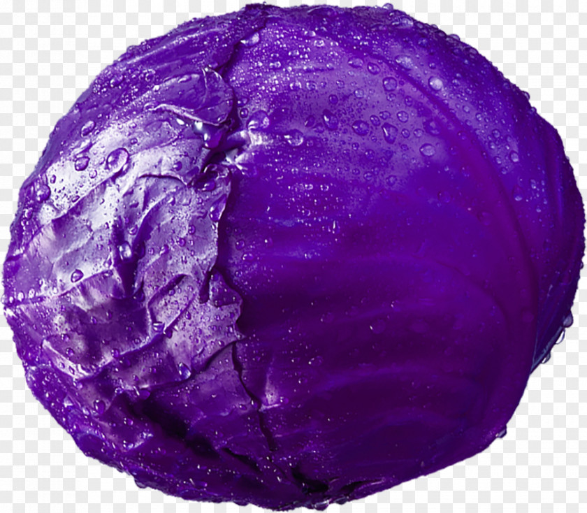 A Purple Cabbage Red Vegetable PNG