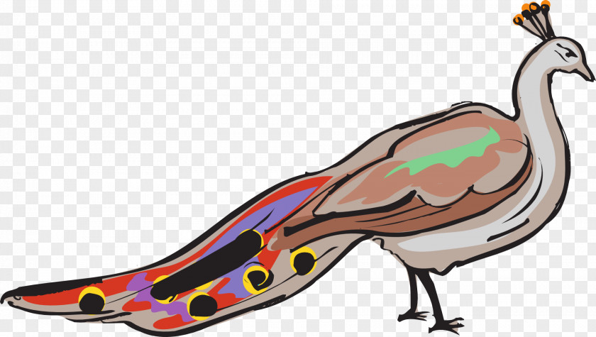 Beak Feather Bird PNG