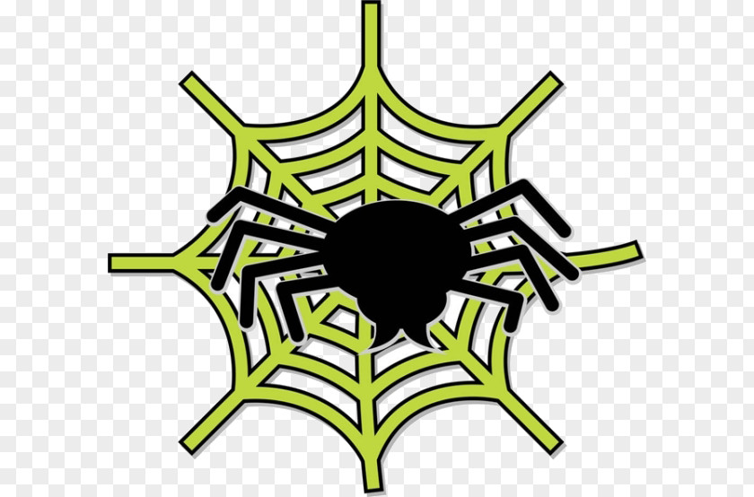 Cartoon Spider Material Web Photography Illustration PNG