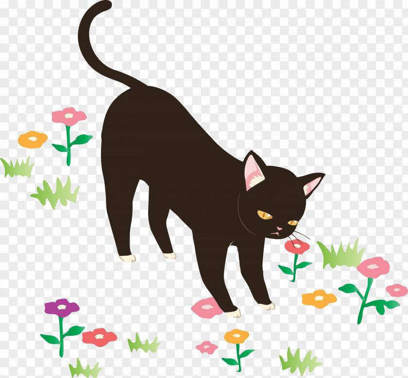 Cat Black Small To Medium-sized Cats Tail Cartoon PNG