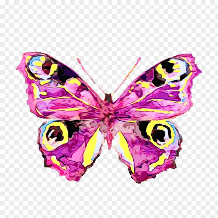 Cynthia (subgenus) Butterfly Insect Pink Moths And Butterflies PNG