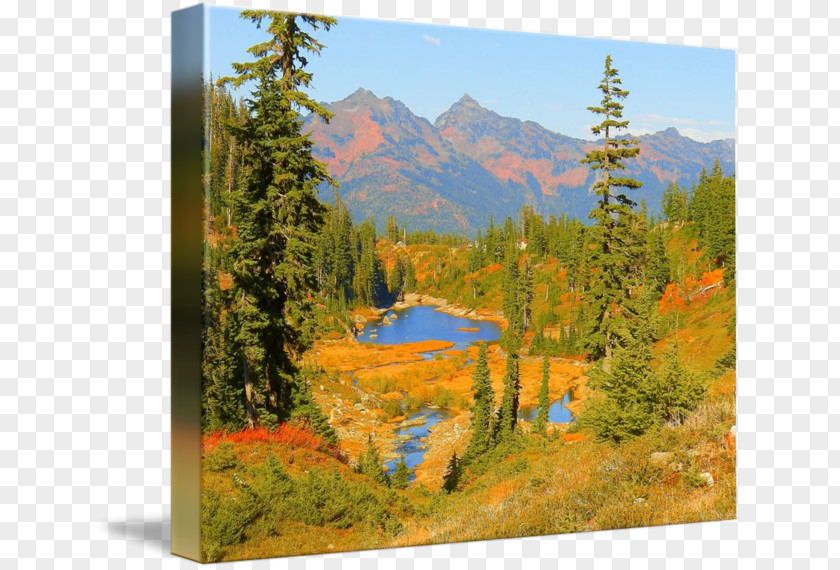 Painting Mount Scenery National Park Landscape Larch PNG