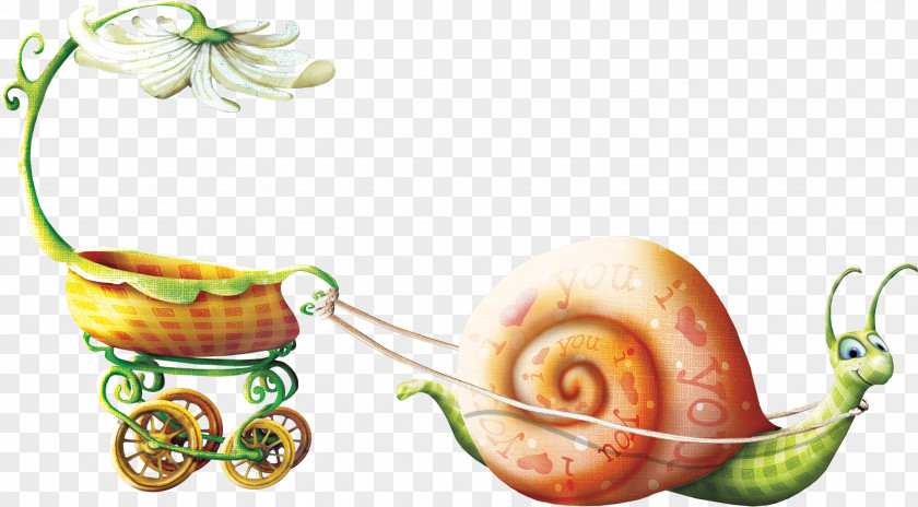 Beautiful Snail Drawing Animation PNG
