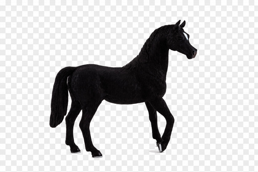 Mustang Arabian Horse Andalusian Stallion Friesian PNG
