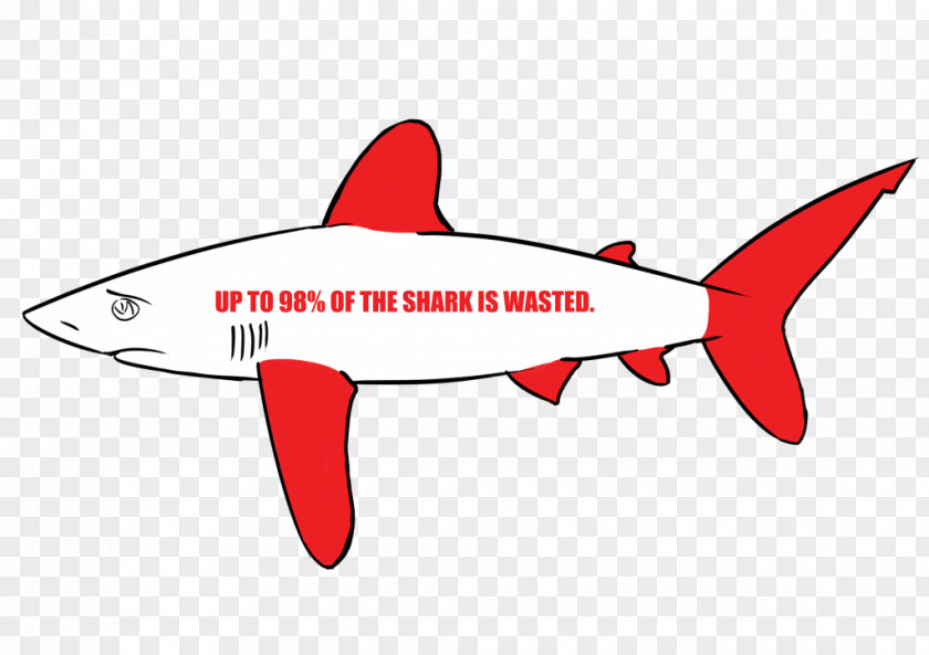 Shark Fin Soup Finning Fish Great White PNG