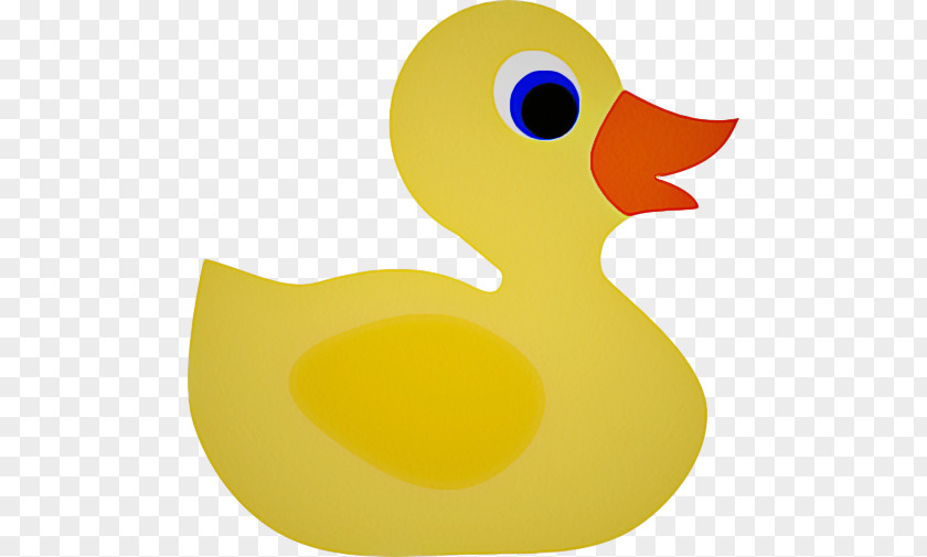 Toy Beak Bird Rubber Ducky Yellow Ducks, Geese And Swans Duck PNG
