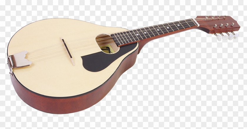 Acoustic Guitar Gallery Ukulele Cavaquinho Electric Cuatro PNG