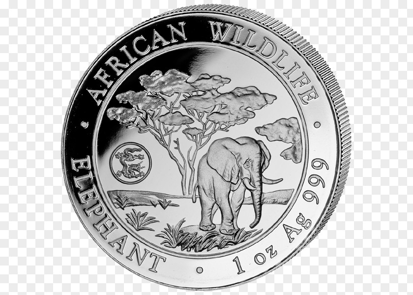 Coin African Elephant Silver Elephantidae PNG