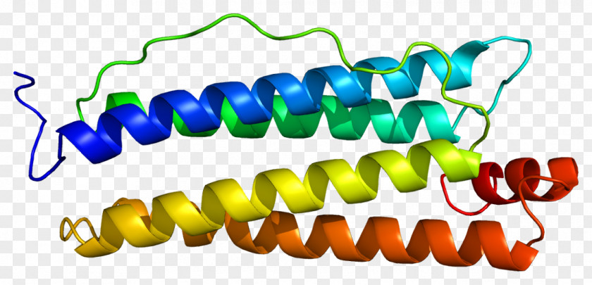 FTH1 Ferritin Protein Subunit Gene PNG