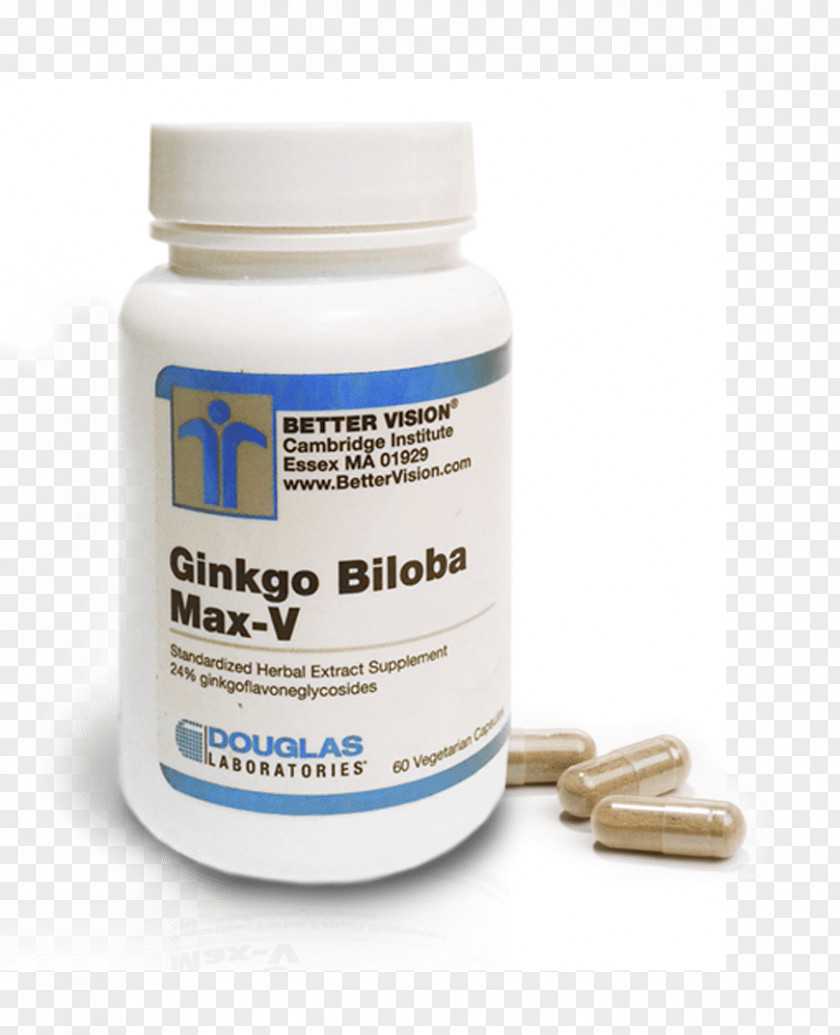 Ginkgo-biloba Ginkgo Biloba Medicine Pharmaceutical Drug Visual Perception Optometry PNG