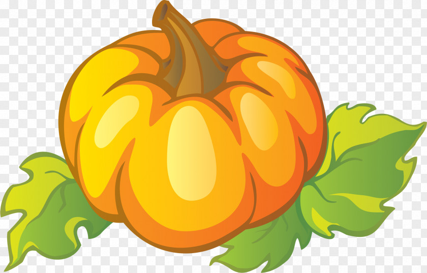 Halloween Pumpkin Cucurbita Vegetable Gourd Clip Art PNG